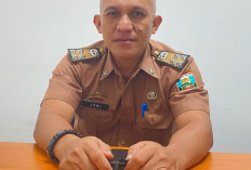 DT2KP Pesbar Terima Banyak Laporan, Ingatkan Warga Waspadai Penipuan Lowongan Kerja di Medsos