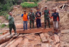 Tri Agustian Bantah  Tuduhan Pembalakan Liar