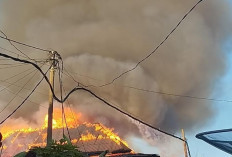Kebakaran Hebat Hanguskan Tiga Rumah di Pesisir Barat