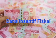 Pemerintah Pusat Salurkan Dana Insentif Fiskal Rp20 Miliar 