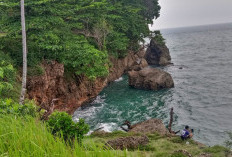 Bukit Selalau, Keindahan Alam yang Menyegarkan di Pesisir Barat