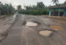 Rusak Parah, Jalan Menuju 2 Pekon Butuhkan Perbaikan 