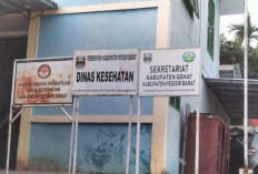 Dinkes Pesbar Catat Sembilan Kasus DBD di Januari 2025