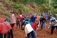 Warga dan Aparat Pekon Waypetai Tangani Longsor di Jalur Cengkaan 