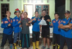 Ular Weling Berbisa Dievakuasi Damkar dari Tumpukan Genting Rumah Warga 