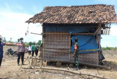 Remaja 16 Tahun Ditemukan Meninggal  di Gubuk Tengah Kebun Pringsewu