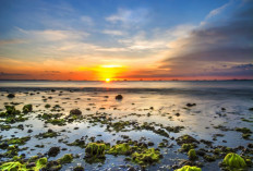 Pantai Lasiana Kupang,  Mutiara Tropis di Timur Nusantara