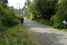 Camat Kebuntebu Pimpin Penebasan Rumput  Jalan Provinsi 