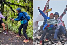 Felita Clarissa Ungkapkan Duka Mendalam atas Kepergian Ibunya, Elsa Laksono, dalam Pendakian Carstensz