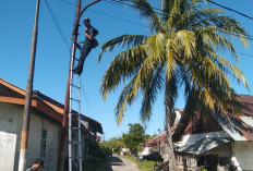 Pemasangan Baru-Perbaikan PJU Rampung