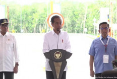 Jokowi Resmikan Tol Trans Sumatera di Jambi dan Sumut