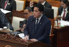 Anggaran di Kementerian   BUMN Dipangkas Rp115 M