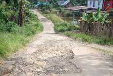 Rusak Parah, Jalan Way Petai-Pagardewa Mendesak Diperbaiki