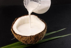 Keajaiban Tersembunyi di Balik Lezatnya Santan