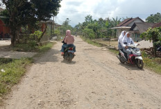 Kerusakan Badan Jalan Menuju   SMAN 1 Waytenong Dikeluhkan