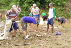 Warga Lima Pekon Harapkan  Perbaikan Irigasi Way Laay
