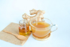 10 Minuman Alami yang Dapat Membantu Mengurangi Rasa Mual