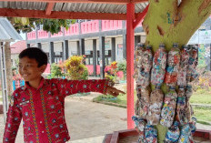 SDN 1 Suka Raja Manfaatkan Sampah Jadi Hiasan Taman