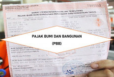 Dua Pekon Di Kecamatan BNS PPB -P2 Masih 0%