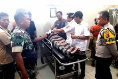 WNA Inggris Tewas Saat Snorkeling di Pantai Pink Lombok Timur