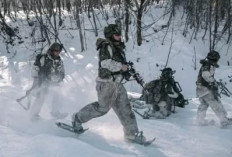 AS Melemahkan NATO: Dari Hubungan Hangat dengan Rusia hingga Mengabaikan Uni Eropa