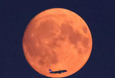 Langit April 2025: Pertunjukan Alam Hujan Meteor Lyrid dan Pink Moon