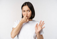 Fungsi Tangan dan Hidung: Peran Penting yang Sering Kita Abaikan