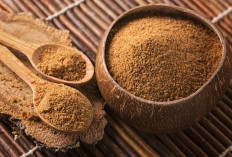 Rahasia Membuat Gula Semut Dari Kelapa  