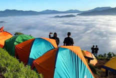 Temiangan Hill, Alam yang Berselimut Kabut, Kini Jadi Idola Pelancong Hingga Para Pemburu Sunrise