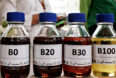 Implementasi Biodiesel B40 Terganjal oleh Efisiensi Anggaran