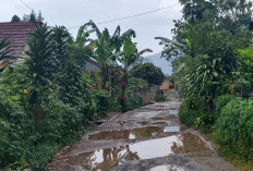 Jalan Rusak Parah, Warga Gang Kapuk Merasa Diabaikan 