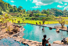 Sumber Gempong: Oase Alami  di Lereng Gunung Penanggungan