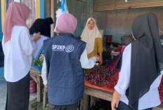 Harga Jual Cabai  Kembali Turun