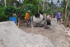 Serap Anggaran Ketahanan Pangan untuk Tingkatkan Jalan Usaha Tani