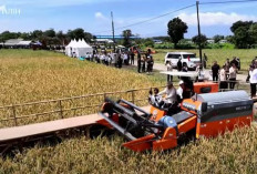 Momen Kocak di Panen Raya, Petani Salah Sebut Nama Presiden Prabowo