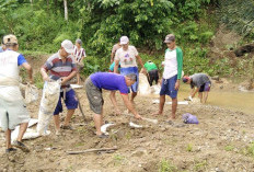 DPUPR Pesbar Usulkan Penanganan Saluran Irigasi Way Laay ke BBWSMS