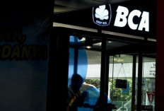 BCA Catat Laba Rp14,1 Triliun di Kuartal I-2025, Tumbuh 9,8%
