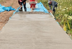 Jalan Usaha Tani Sebarus Dongkrak Produktivitas Petani