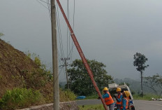PLN Sumberjaya Lakukan Pemeliharaan Jaringan 