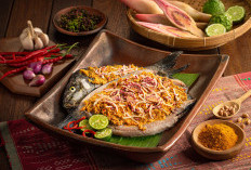 Naniura, Warisan Kuliner yang  Menghadirkan Sensasi Sashimi