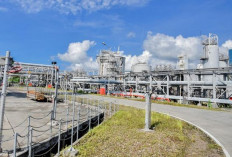 Kilang LNG Tangguh Sumbang  Sepertiga Produksi Gas Nasional