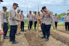 Dorong Ketahanan Pangan Nasional, Polres-Pemkab Pesisir Barat  Tanam Jagung Serentak