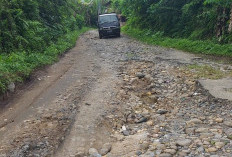 Tagih Janji Pemkab Bangun Jalan Rusak