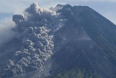 Merapi Luncurkan Awan Panas 2,5 Km ke Kali Boyong, Status Tetap Siaga