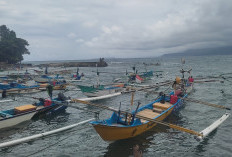 Diskan Pesbar Tunggu Kuota Asuransi Nelayan dari Pemprov Lampung