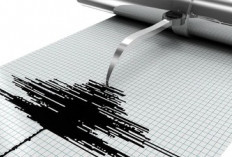 Gempa Pacitan M6,4 Terungkap  Berjenis Megathrust, BMKG Paparkan Penyebab dan Dampaknya