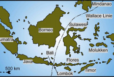 Misteri Garis Wallace Terpecahkan, Mengapa Spesies Asia Bisa Menyeberang tapi Australia Tidak