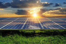 Potensi Ekonomi Industri Manufaktur Energi Terbarukan Rp 8.824 triliun