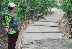 Lewat Program Ketahanan Pangan,  Pekon Purawiwitan Bangun   Jalan Usaha Tani di Ciptaraya