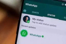 WhatsApp Uji Fitur Baru: Status Bisa Dibagikan dan Berpotensi Viral!